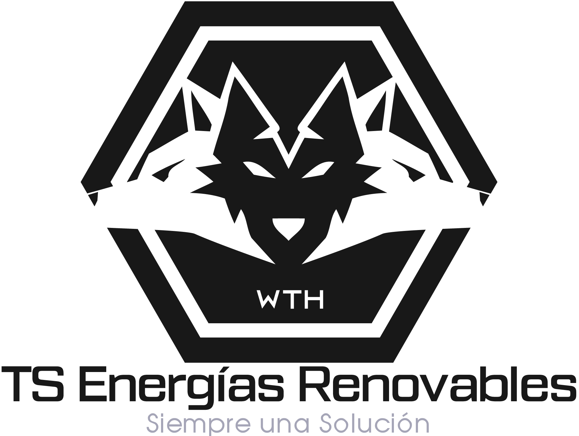TS Energias Renovables